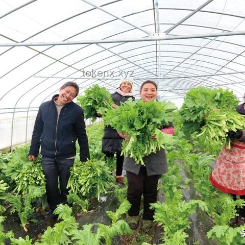 贵州高龄产妇顺利产子引发行业新视角：高龄生育医疗技术与服务革新